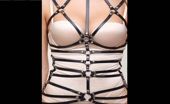 5 Mistakes when Choosing Leather Harness