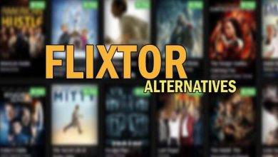 Flixtor Proxy Alternatives