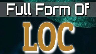 Understanding the Full Meaning of LOC