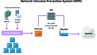 Enterprise Intrusion Detection and Protection Strategy of Large Internet